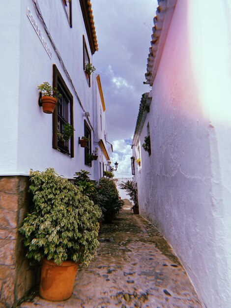 Photo une promenade en ville.