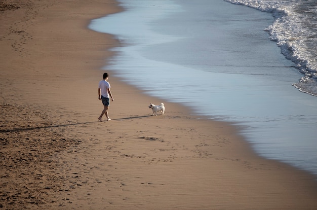 promener le chien sur la plage