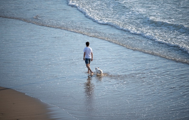 promener le chien sur la plage