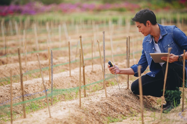 Propriétaire agriculteur ou agronome utilisant un compteur d'acidité du sol pour améliorer la qualité du sol et la plante