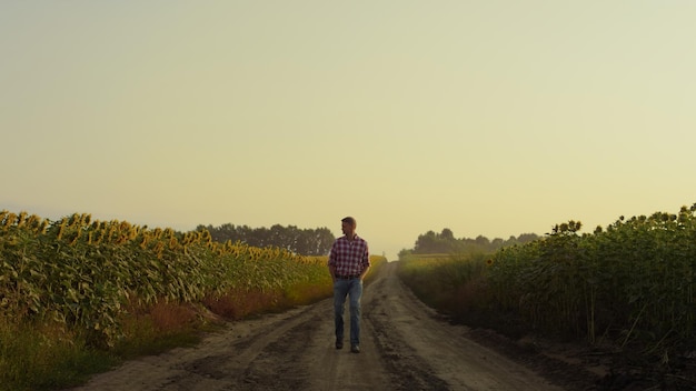 Propriétaire de l'agro-industrie sur la route du champ de tournesol