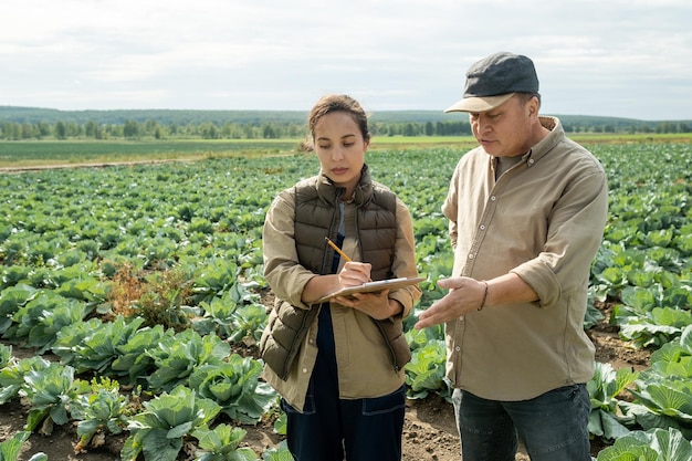 Le propriétaire asiatique d'une plantation discute d'un plan de maintien de la culture du chou