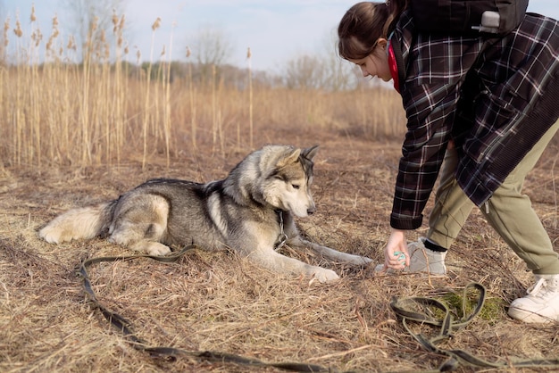 Le propriétaire et son chien obéissant husky suivent l'ordre de se coucher