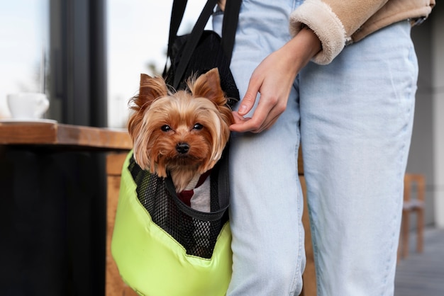 Photo propriétaire vue de face portant un chien dans un sac