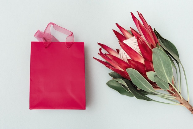 Protea de grande fleur exotique avec pétales rouges et boîte-cadeau lumineux Concept de vacances avec fleur naturelle