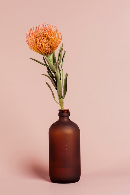 Photo protea en pelote d'épingles orange dans un vase bouteille