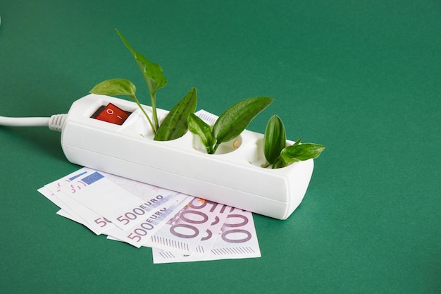 Protecteur de surtension blanc avec un bouton d'alimentation rouge argent et feuilles vertes d'une plante sur fond vert