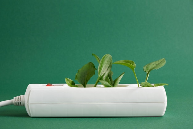 Protecteur de surtension blanc avec un bouton d'alimentation rouge et des feuilles vertes d'une plante sur fond vert