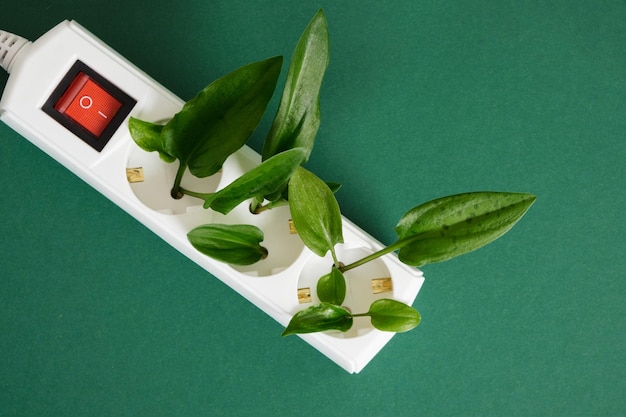 Protecteur de surtension blanc avec un bouton d'alimentation rouge et des feuilles vertes d'une plante sur fond vert