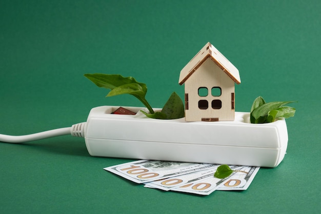 Protecteur de surtension avec bouton d'alimentation dollar bills une maison miniature et feuilles vertes d'une plante sur fond vert