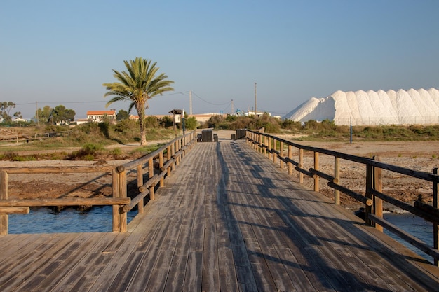 Photo province d'alicante santa pola embarcadero de las salinas bras del port