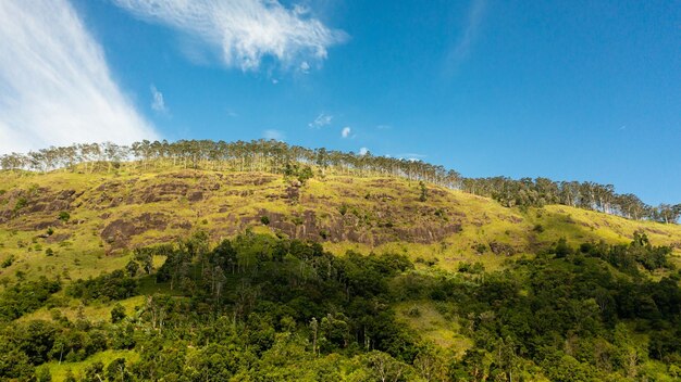 Photo province de montagne et plantations de thé au sri lanka