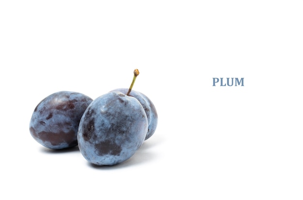 Prune mûre sur un gros plan de fond blanc. Fruits et vitamines.