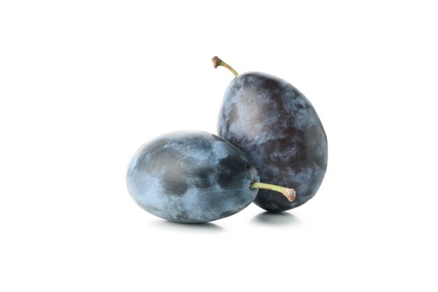 Prunes bleues fraîches isolées sur blanc