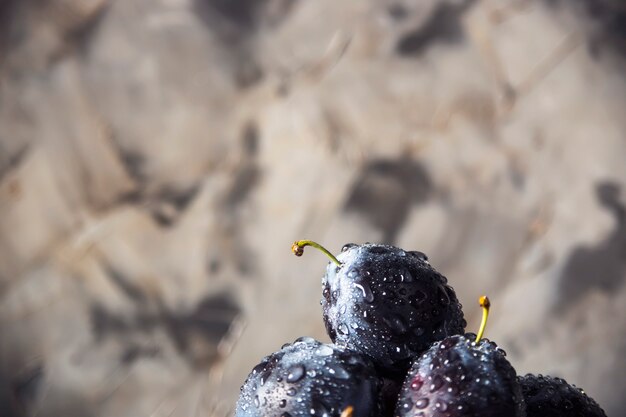 Prunes bleues mûres avec de l&#39;eau tombe sur un fond gris.