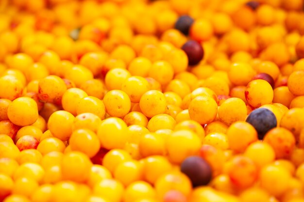 Prunes de cerises jaunes mûres juteuses close up