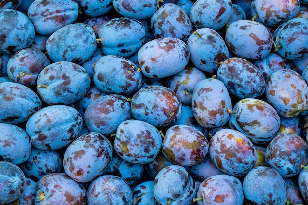 Prunes dans un coffret en bois sur l'herbe verte