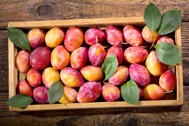 Prunes fraîches avec des feuilles dans une boîte en bois