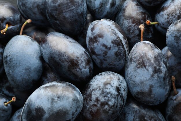 Prunes fraîches, vue de dessus en gros plan