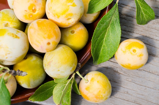 Prunes jaunes cultivées de manière écologique dans un bol. Gros plan d'un tas de prunes mûres sucrées.