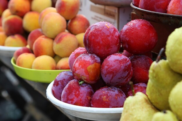 Prunes pêches et nectarines sur le marché agricole local éco fruits juteux Shopping produits bio Épicerie saine Marché été automne photo de haute qualité