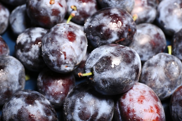 Des prunes sucrées mûres de près