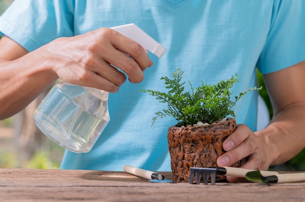 Le Pulvérisateur D'eau Des Plantes En Pots