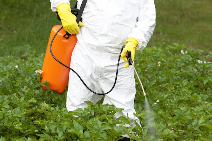 Photo pulvérisation d'herbicides toxiques, de pesticides ou d'insecticides dans le jardin potager