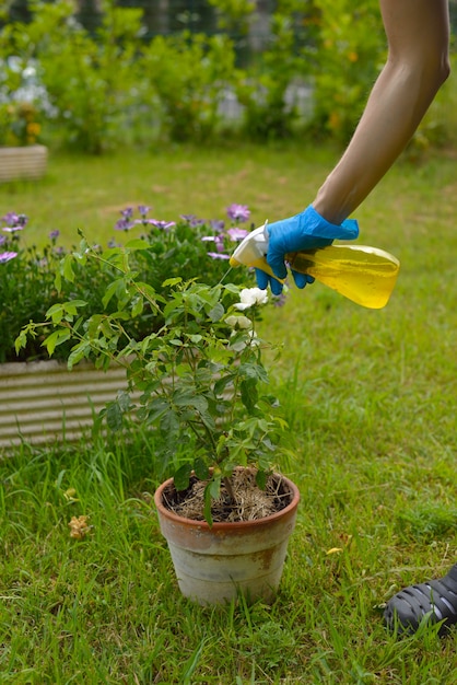 Pulvérisation de pesticides