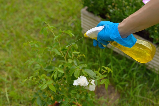 Pulvérisation de pesticides