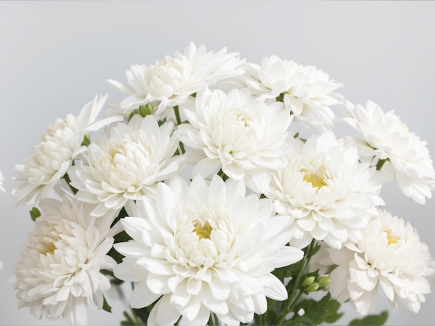 Pure Élégance Bouquet de Chrysanthème Blanc