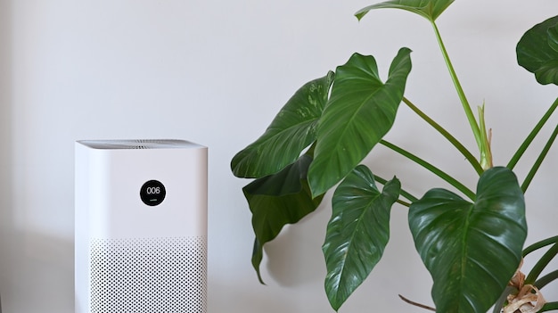 Purificateur d'air blanc et plante d'intérieur dans le salon pour un air frais et une vie saine et bien-être.