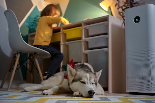 Purificateur d'air dans la chambre des enfants avec un enfant allergique et un chien