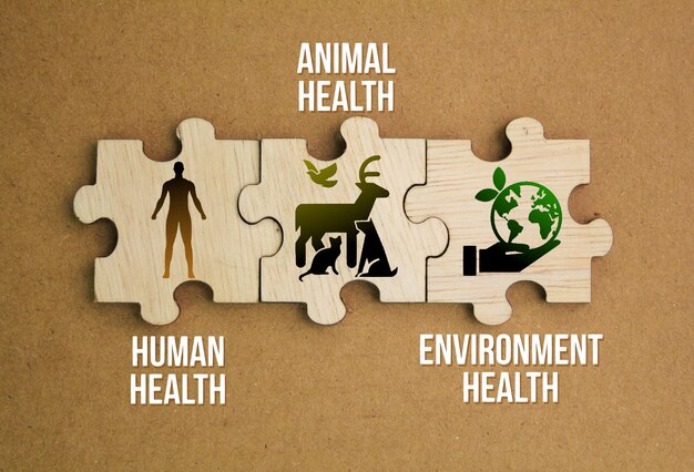 Photo puzzle en bois avec les mots et les icônes de la santé humaine, de la santé animale et de la santé environnementale