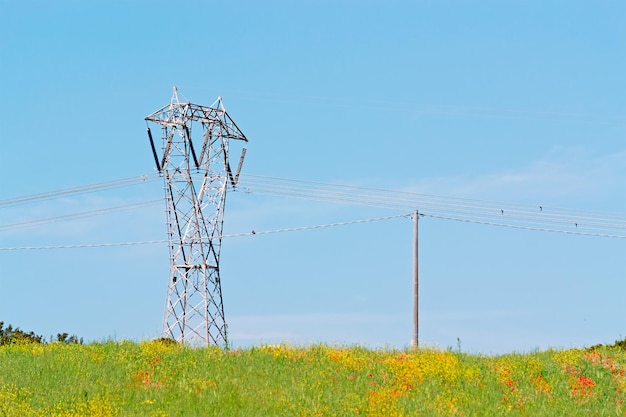 Pylône électrique à la campagne