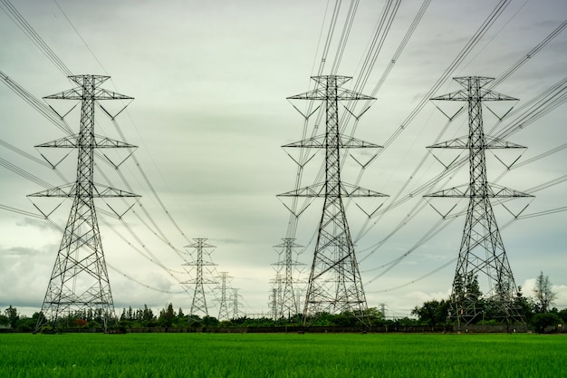 Pylône électrique haute tension et fil électrique au champ de riz vert et forêt d'arbres