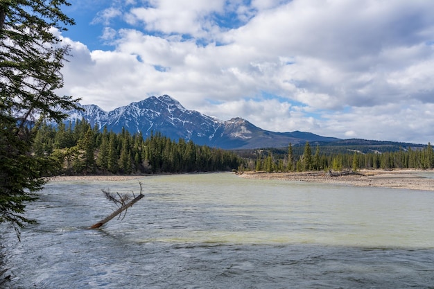 Pyramid Mountain et la rivière Athabasca en été journée ensoleillée Parc national de Jasper Beau paysage