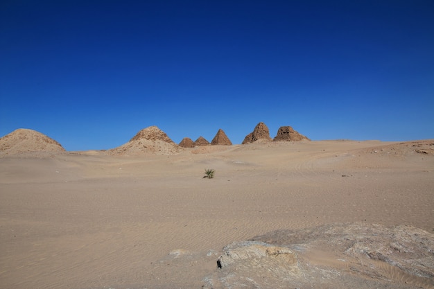 Pyramides antiques de Nuri dans le désert du Sahara, Soudan