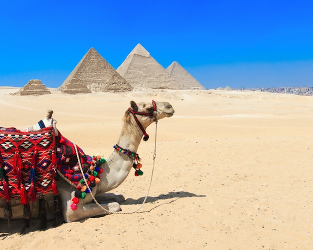 Pyramides avec un beau ciel de Gizeh au Caire, en Egypte.