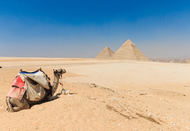 Pyramides avec un beau ciel de Gizeh au Caire EgyptxAxA