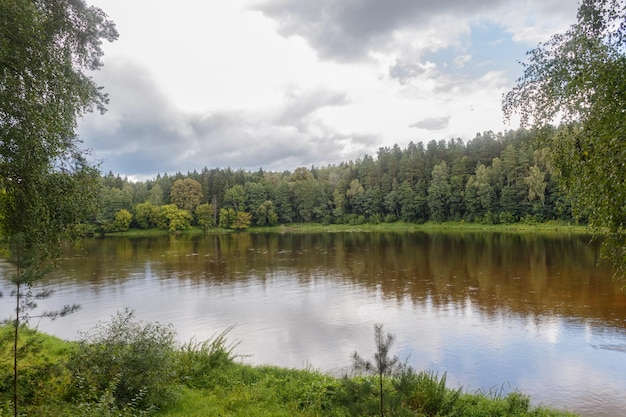 Quai du fleuve Néman près de la ville de Druskininkai. Lituanie.