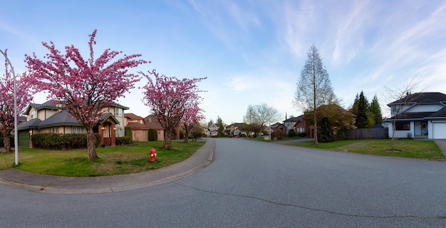 Quartier résidentiel Street in Modern City Suburbs