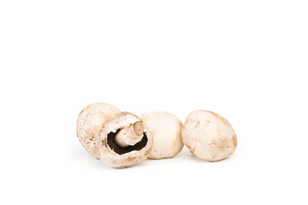 Quatre champignons sur fond blanc avec espace de copie