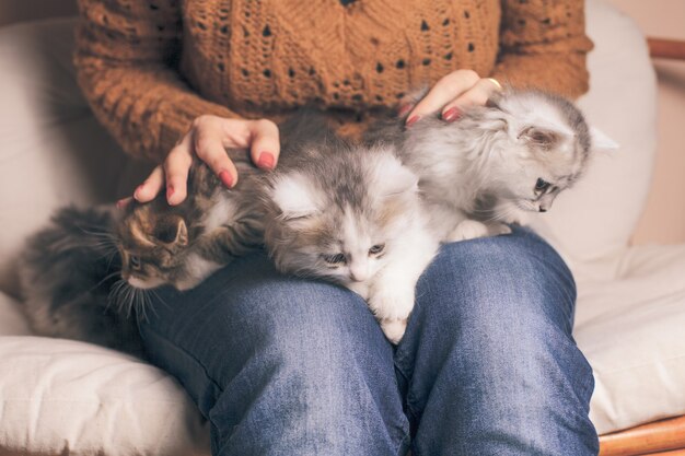 Quatre chatons sur les genoux de la fille se bouchent