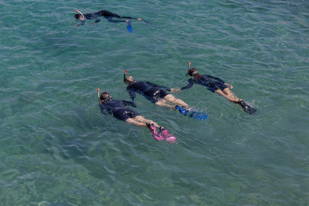 Quatre plongeuses avec des masques de plongée et des palmes plongeant dans une eau cristalline à Eilat Mer Rouge Israël Les plongeurs s'entraînent à la mer Jeune fille plongeuse en combinaison de plongée noire jouant dans l'eau