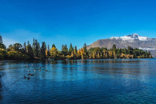 Queenstown, lac Wakatipu dans l&#39;île du sud, Nouvelle-Zélande en automne.