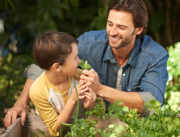 Quelle belle odeur Photo d'un père et de son fils faisant du jardinage ensemble