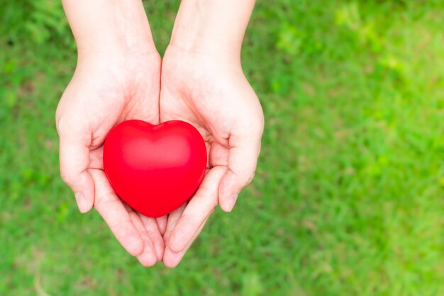 Quelqu'un tient un coeur rouge au-dessus du champ vert