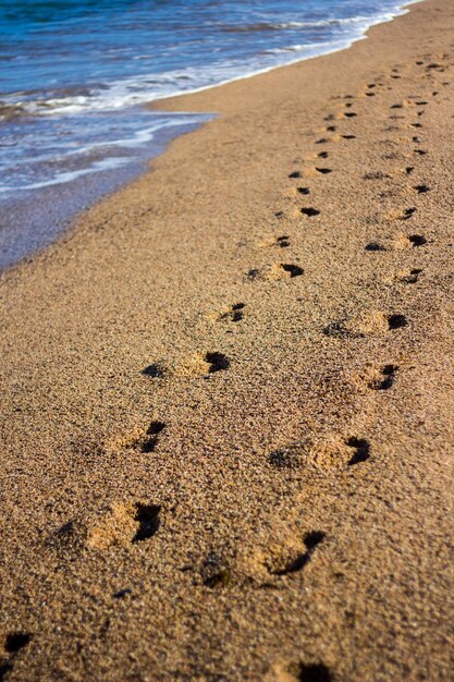 Quelques empreintes de pas sur la plage avec du sable doré