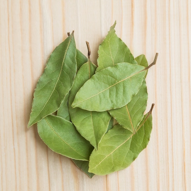 quelques feuilles de laurier fraîches sur un bois